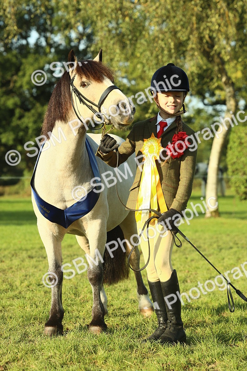 SBM_58471 - S37 - Starters In Hand Showing