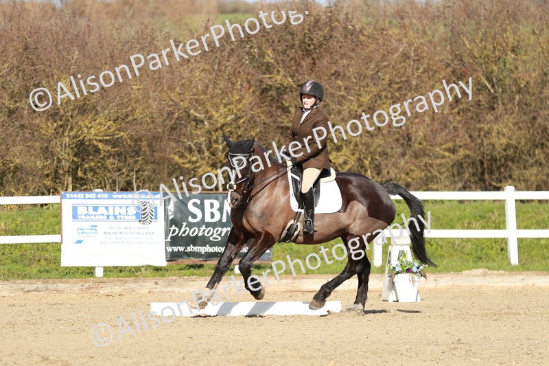 20260314-4448 - DR4 - Prelim 2