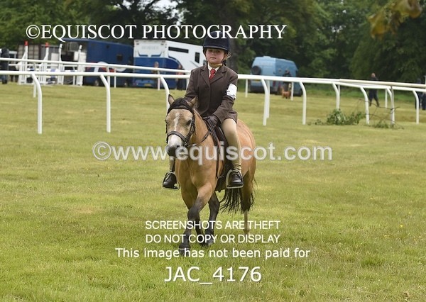 JAC_4176 - 30CM WORKING HUNTER