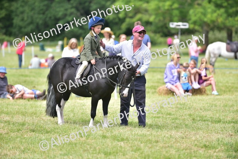 20260614-1386 - Class 11b - Lead Rein Pony (Plaited)