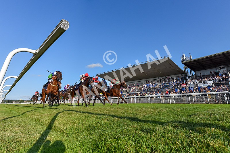 200726-Race 2-Opal Storm-3543 - Race 2 19.00pm Happy Birthday Katie Exon Handicap