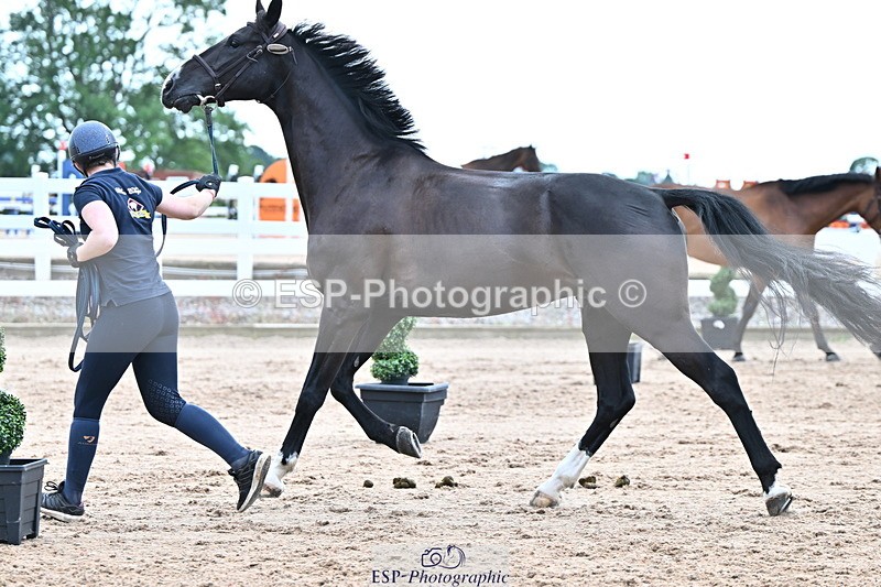 240718A-105325-01994 - Trot Up 2pm to 3pm - This folder is not in time order