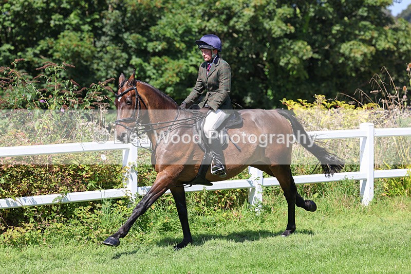 3E7A9018 - Class 6: Open Working Horse