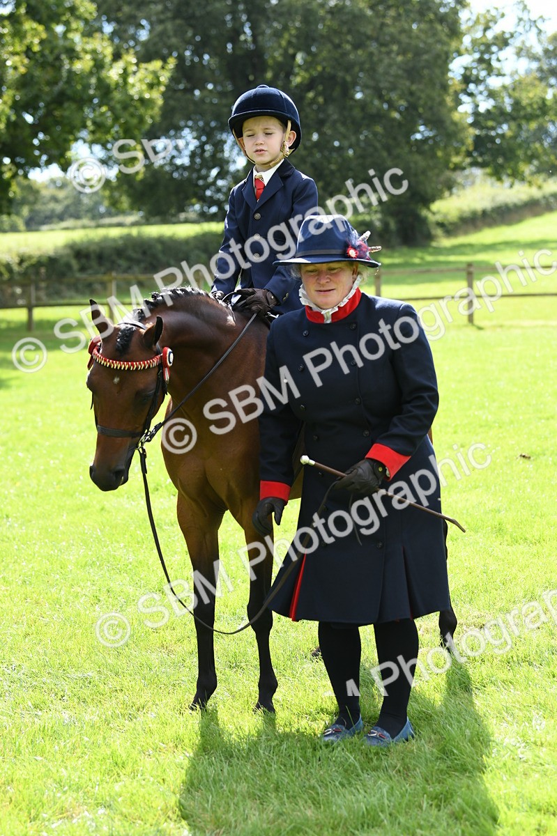 SBM_41178 - S19 - Lead Rein Show & Show Hunter Pony