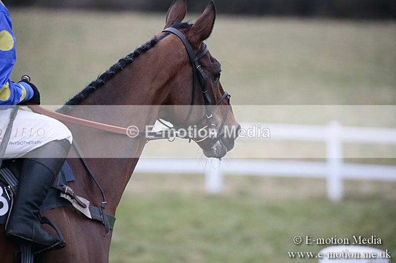 PtP 180218 330 - Combined Services Point-to-Point Larkhill 18/02/18