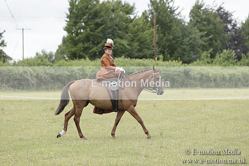 BVR160717-2420 - Side Saddle Classes 16/07/17