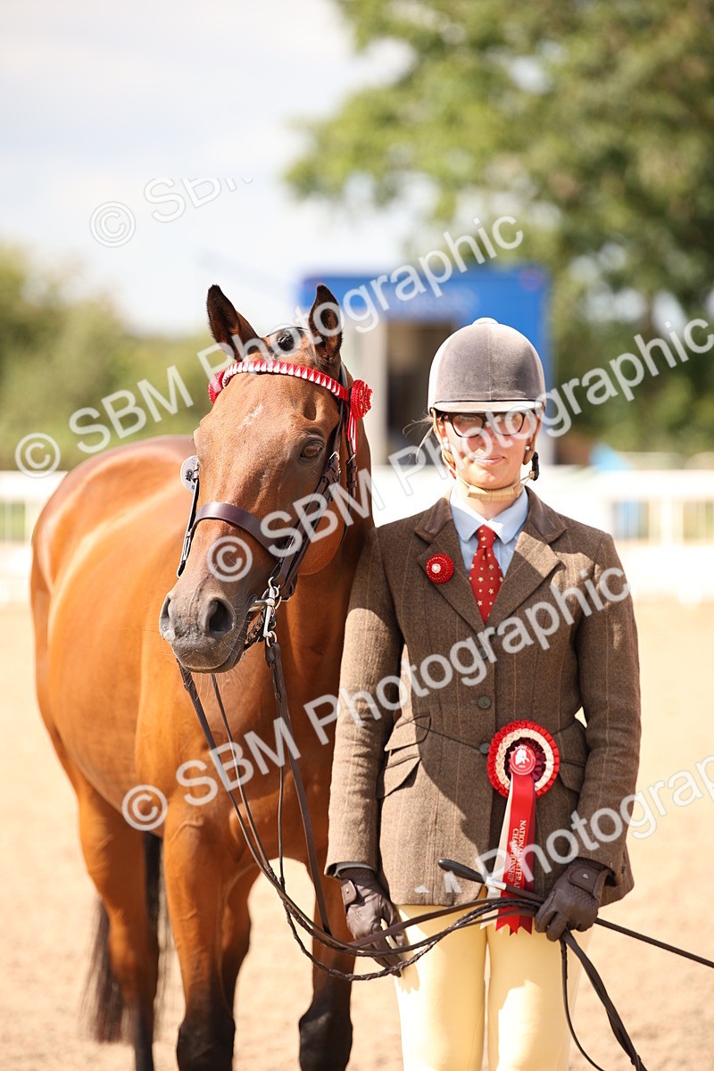 SBM_04661 - Class 20 IH Veteran