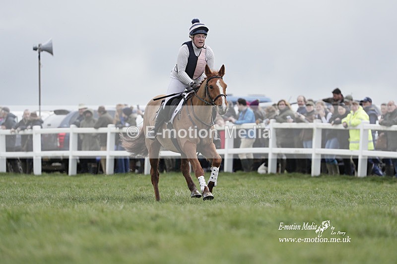 PtP 260323 0288 - New Forest Hounds Point-to-Point Larkhill 26/03/23