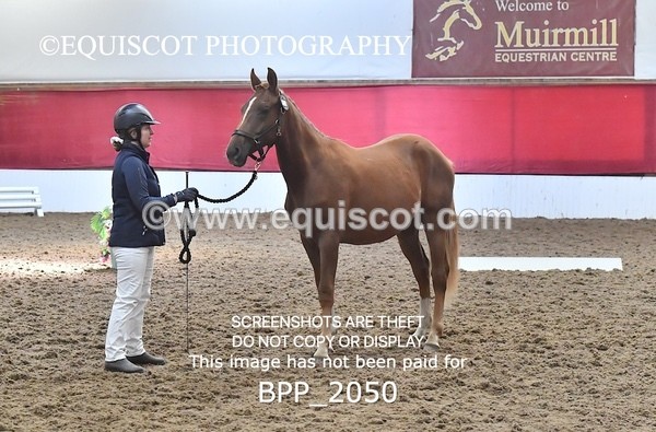 BPP_2050 - AFTERNOON 12.30 - 3.30PM