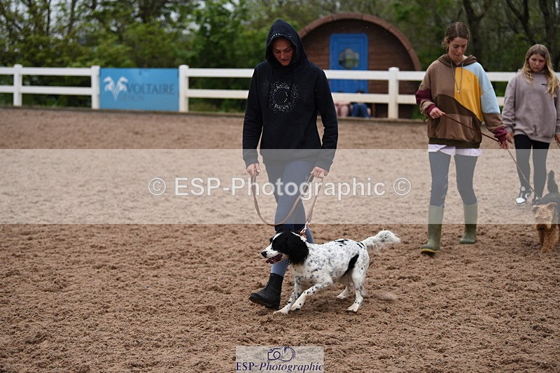 240518A-124638-01182 - Cls 5 Best Purebred