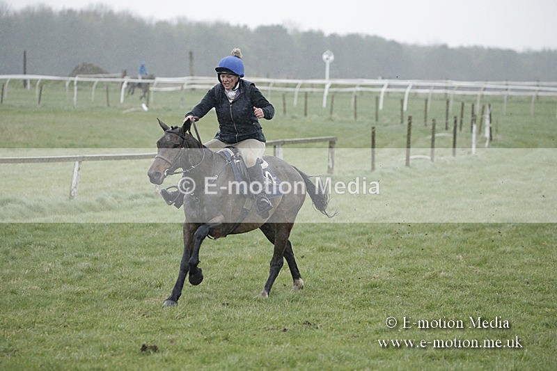 PtP 150320 0063 - New Forest Point-to-Point Larkhill 15/03/20