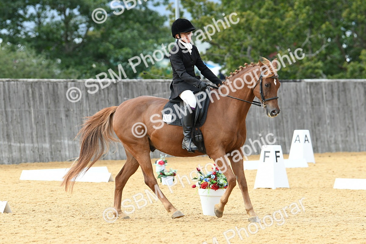 SBM_10962 - D28 Elementary Taster Elementary 42