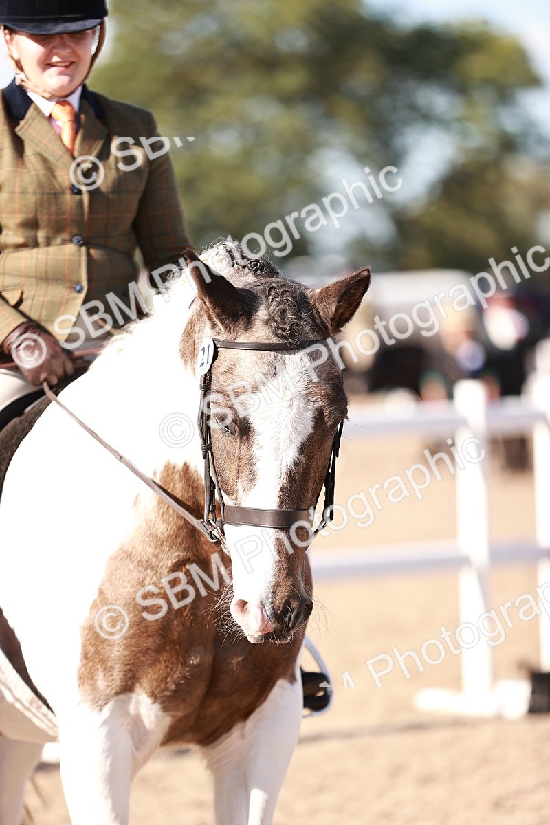 SBM_12521 - Class 403 - Grassroots Ridden - Junior