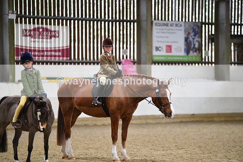 WJ5_6446 - Class 9 Ridden Veteran