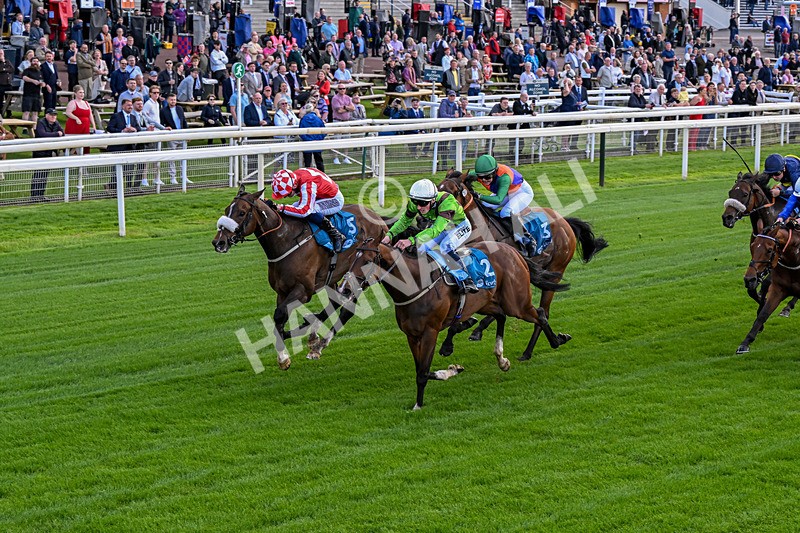 120626-Race 1-Our Havana-0052 - Race 1 13.50pm Andy Thornton Hospitality Furniture Apprentice Handicap