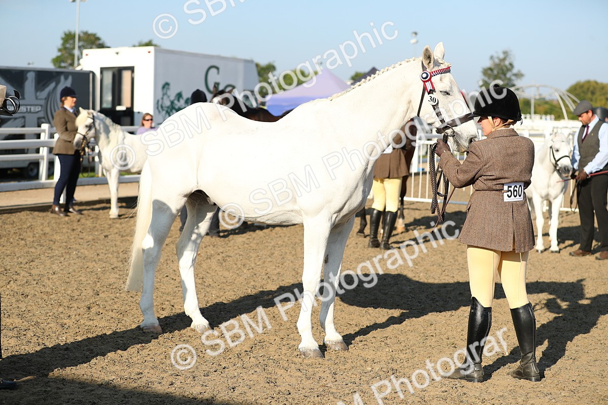 SBM_00046 - Class 40 Best Turned Out IH