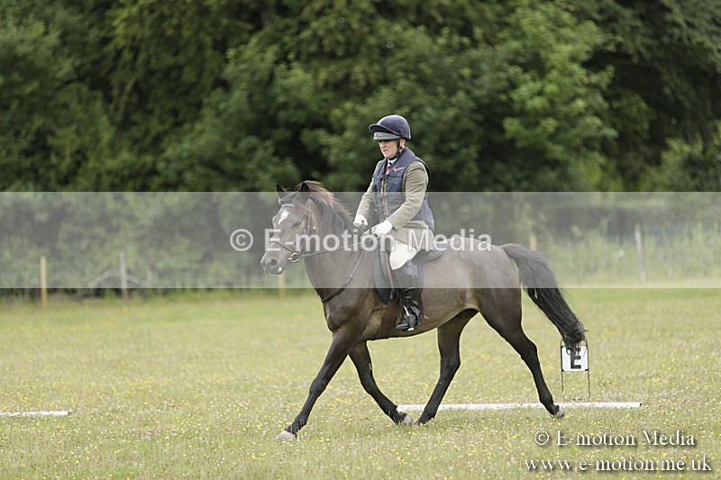 BVR160717-697 - Class 1 & 23a Dressage 16/07/17