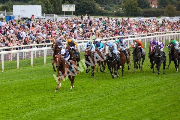 240823-Race 2-Dragon Leader-5084 - Race 2 2.25pm Goffs UK Harry Beeby Premier Yearling Stakes