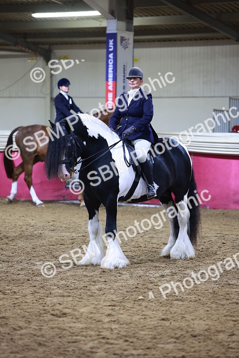 SBM_15410 - Class Q - Ridden Horse Champ