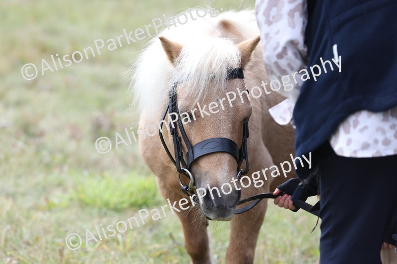 20250831-3045 - Class 23 - Child Handler