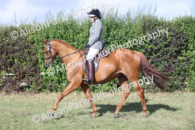 20250831-0898 - Class 14 - Ex Racehorse