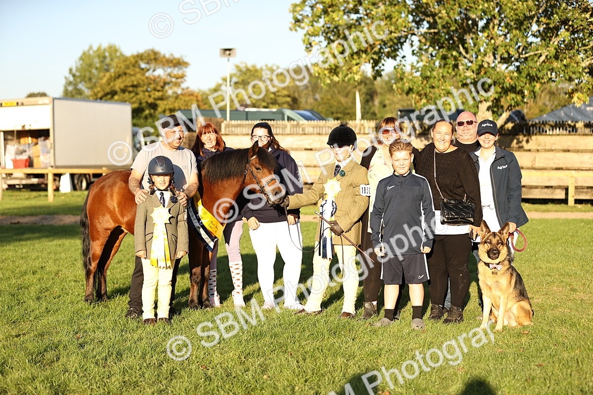 SBM_30167 - Novice & Newcomers Supreme Championship