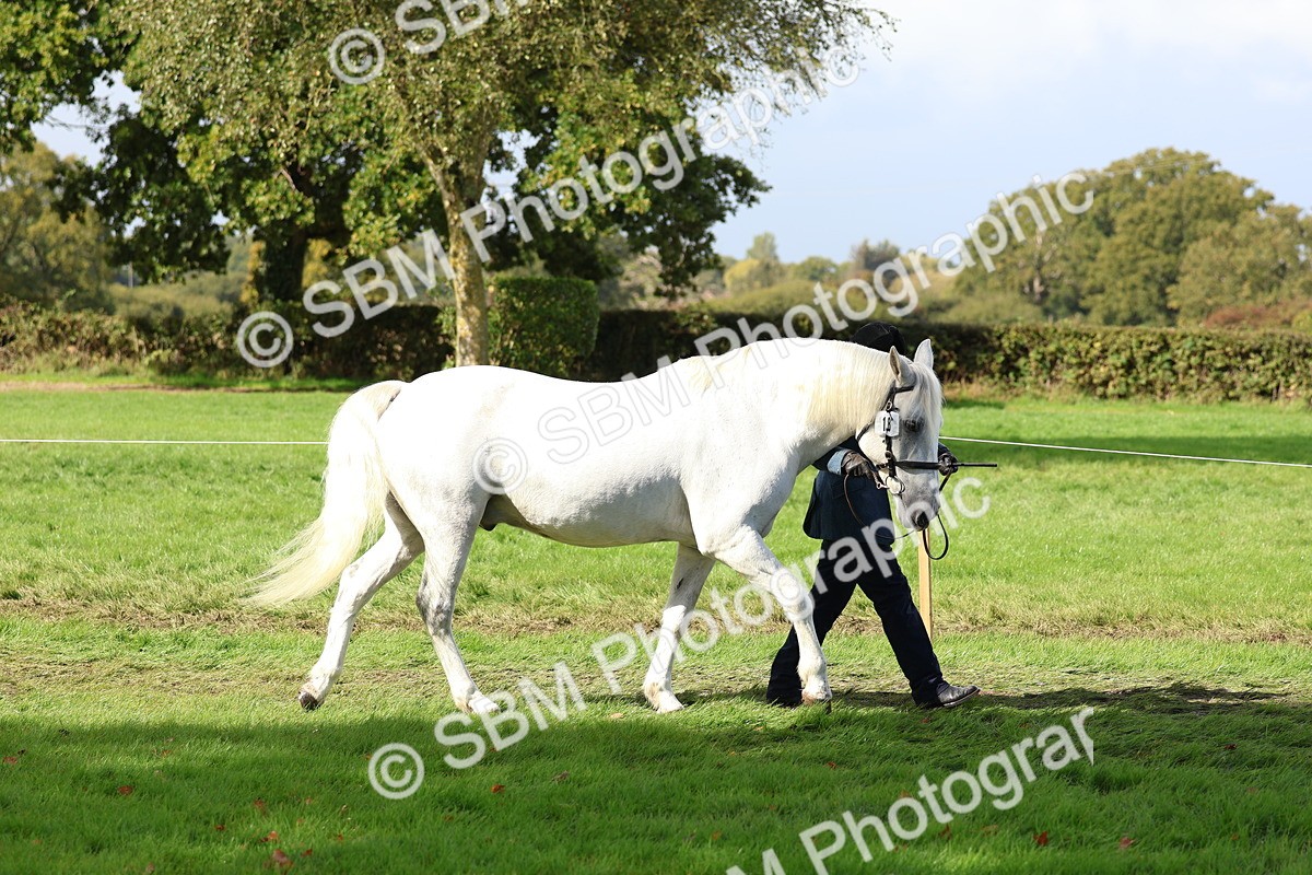 SBM_39393 - S24 - Young Veteran In Hand