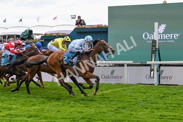 150525-Old Cock-4083 - Race 2 2.42pm Oakmere Homes Hambleton Handicap