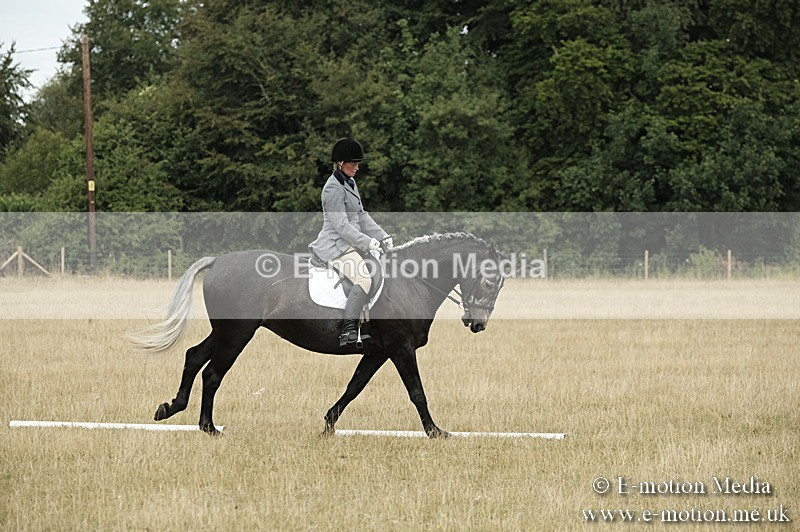 _PJP5757 - Dressage Classes BVRC Show 2018