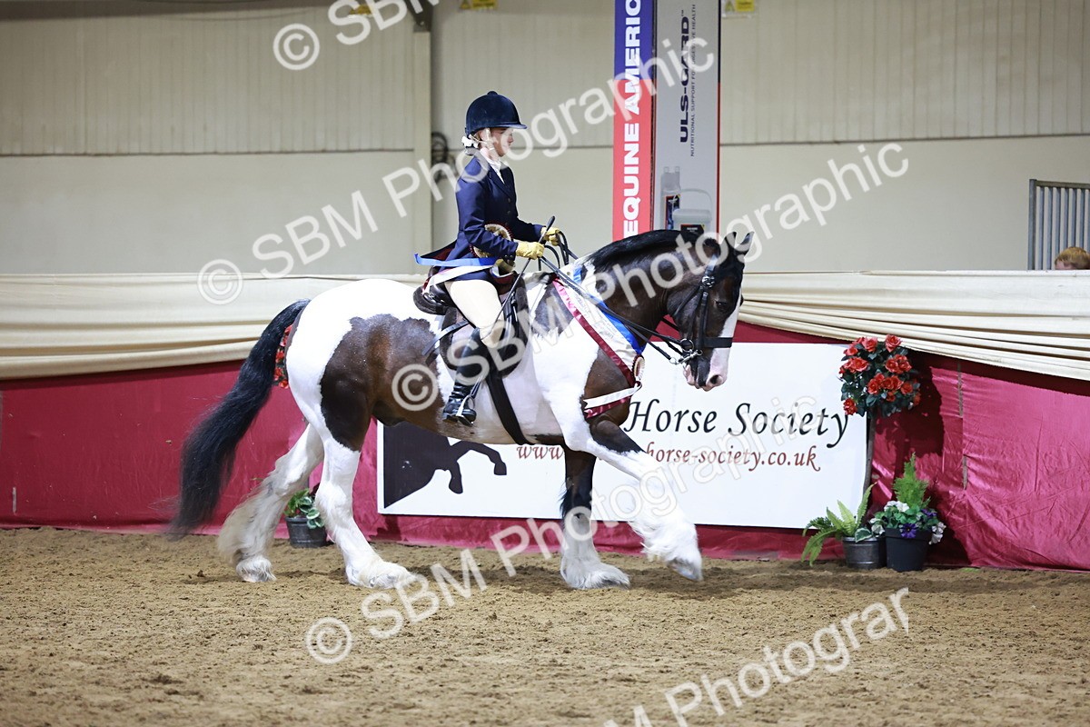 SBM_21307 - Class S - Style & Performance Champ