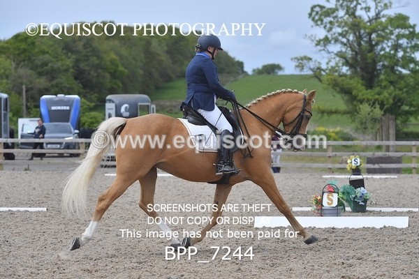 BPP_7244 - 3 D HARRISON