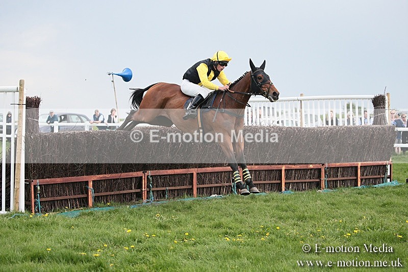 PtP 210418 391 - South & West Wilts Point-to-Point Larkhill 21/04/18
