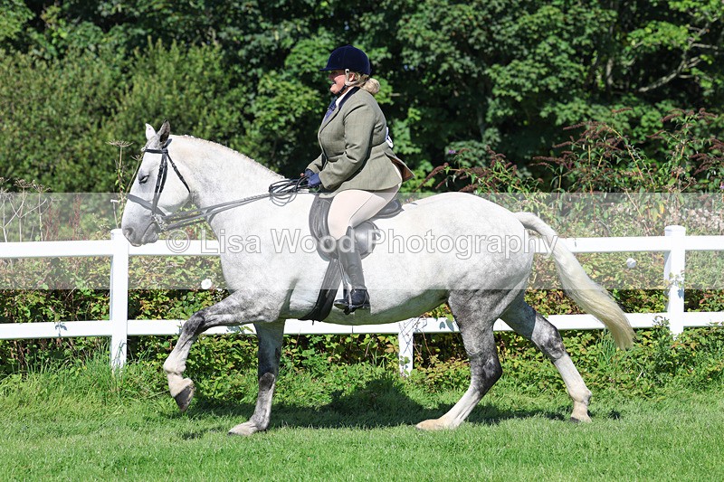 3E7A8397 - Class 4: Novice working Hunter
