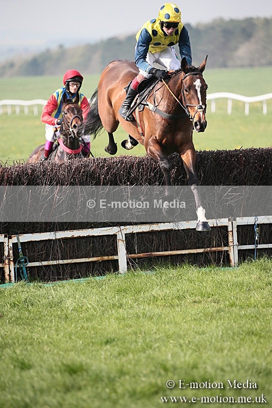 PtP 210418 417 - South & West Wilts Point-to-Point Larkhill 21/04/18