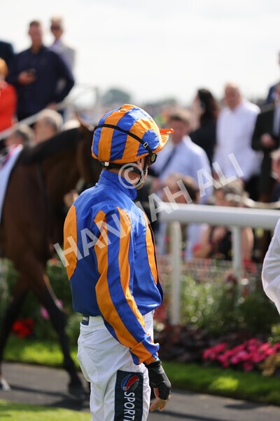 yr18082021r3-19 - Race 3 3.00pm Sky Bet Great Voltigeur Stakes