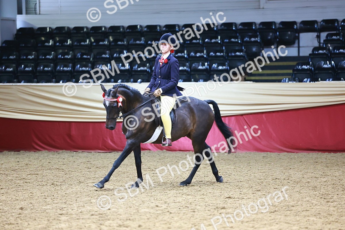 SBM_23351 - Class 904 - Supreme Final - Ridden Diamond