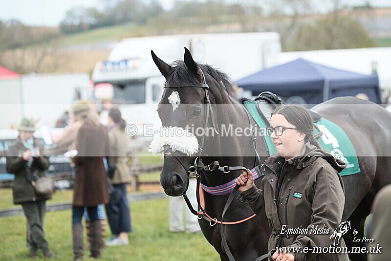 PtP 130425 203 - Edgecote Races 13/04/25