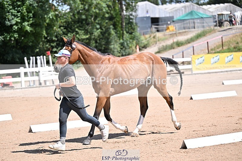 250716-123112-00035 - Trot Up 12.30 to 1.30