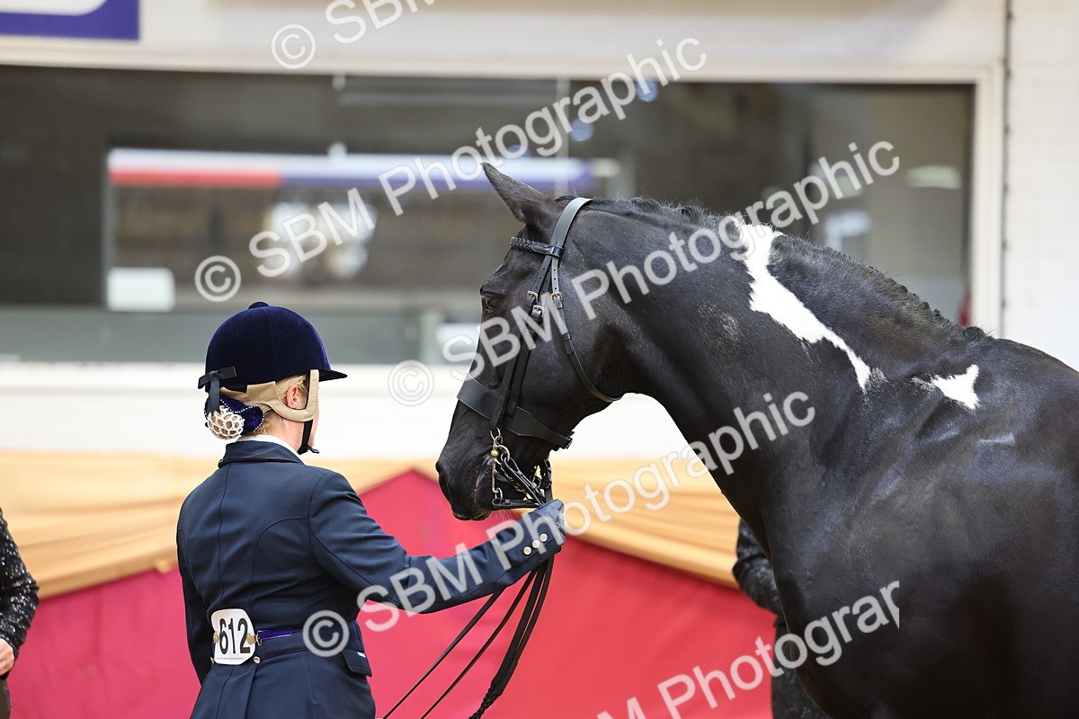 SBM_22734 - Class 903 - Supreme Final - IH Pre Vet