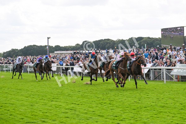 230824-Race 2-Vauban-8932 - Race 2 2.25pm Weatherbys Hamilton Lonsdale Cup Stakes