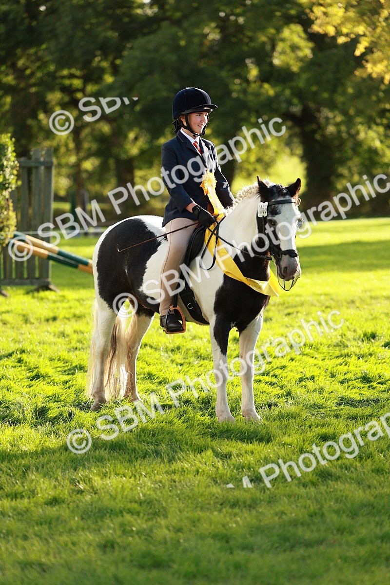 SBM_29302 - Novice & newcomer Supreme Championship