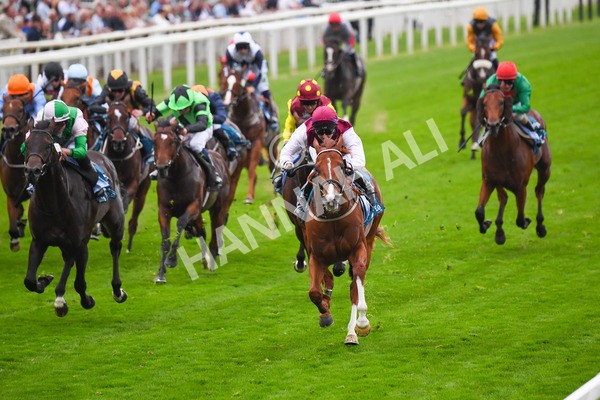 230823-Race 7-Zoulu Chief-0942 - Race 7 5.20pm Sky Bet Nursery Handicap