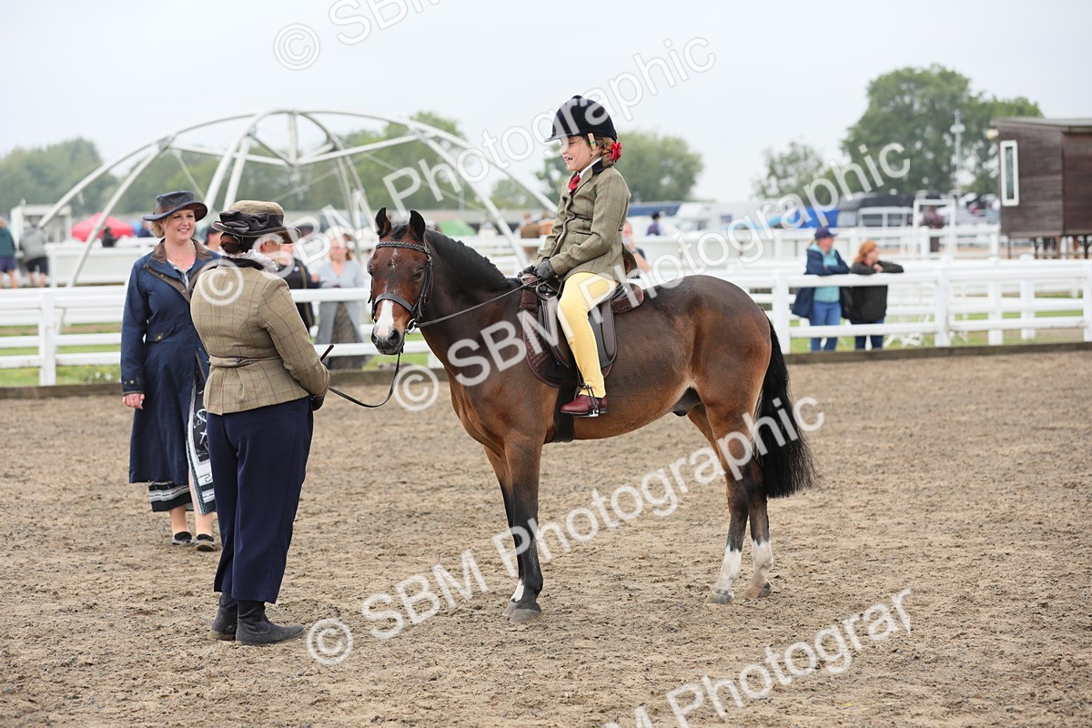 SBM_21835 - Class 806 - Young ridder 10 Yr & Under