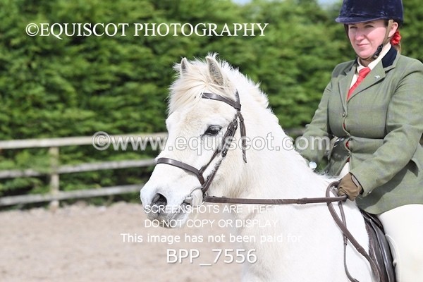 BPP_7556 - RING 1  (RIDDEN HORSES / IN HAND / VETERAN ETC)