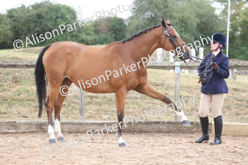 20260831-1933 - Class 5 - Retraining of Racehorses
