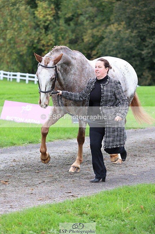 251026A-113301-25520 - F-426-Tracey.Neville