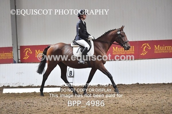 BPP_4986 - INTRO TEST 3