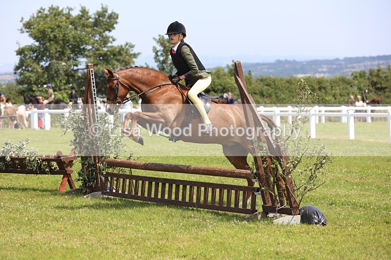 JPP_2566 - Class 21: Working Hunter 60cm