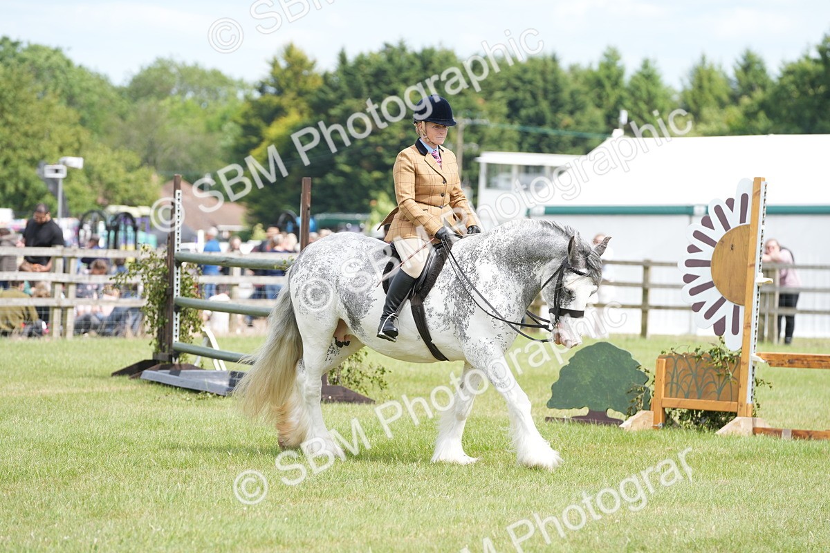 SBM_17263 - Class 107-108 - LIHS BSPS Performance Coloured Horse Pony