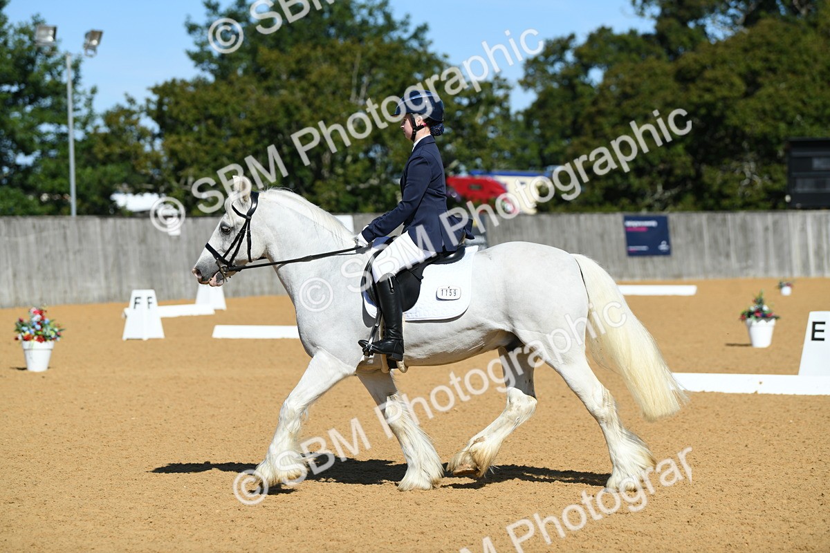 SBM_18114 - D4 - Small Tour Championship - Intro B